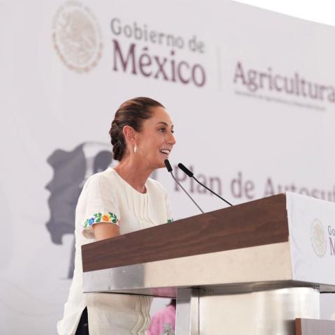 "México no es piñata de nadie": Sheinbaum 