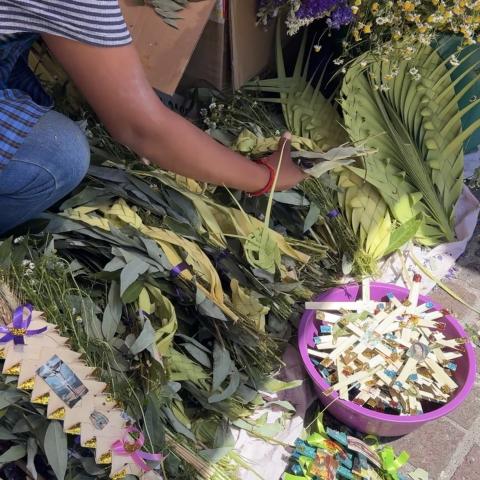 No utilizar laurel silvestre durante domingo de ramos, la petición de autoridades ambientales 