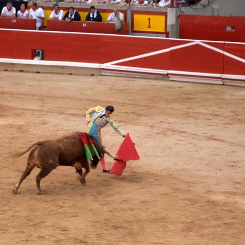 No porque ecologistas quieran, se acabará fuente de empleos. No queremos una kermesse: Empresarios sobre corridas de toros