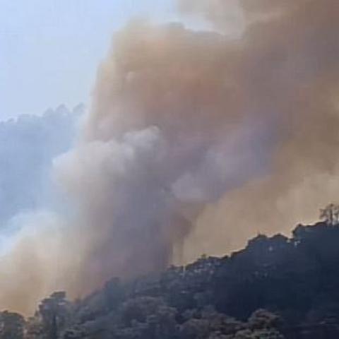 Incendio forestal 