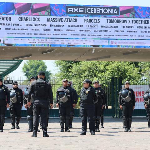 Axe Ceremonia, cancelado