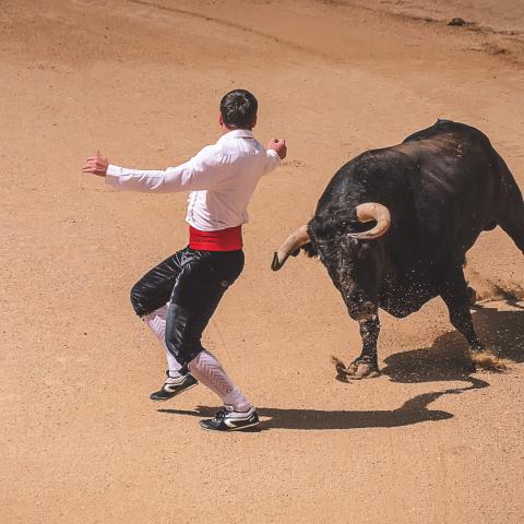 Animalistas aún en espera de fallo federal sobre corridas de toros en Aguascalientes
