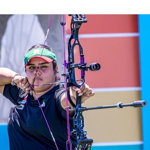 Tiro con Arco Compuesto