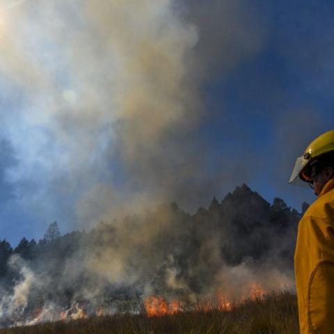 Incendios forestales