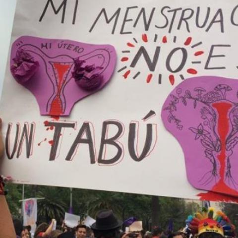 Diputada del PRI propone licencia menstrual 