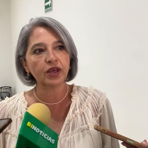 Seguridad nacional está desbordada: Mesa  Ciudadana de Seguridad sobre disminución en Índice de Paz