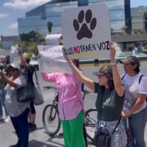 Manifestación por caso "Loba" 