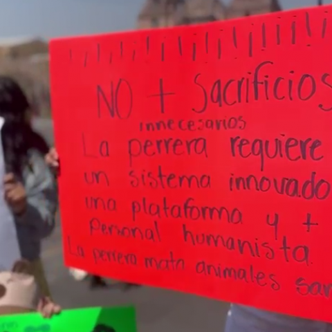 Manifestación contra el matrato animal en Aguascalientes 