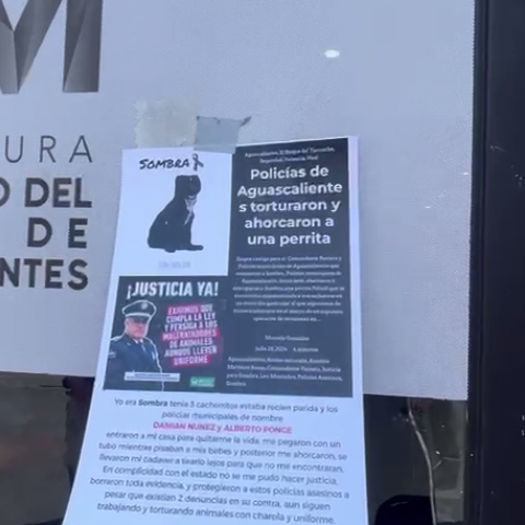 Denuncias maltrato animal 