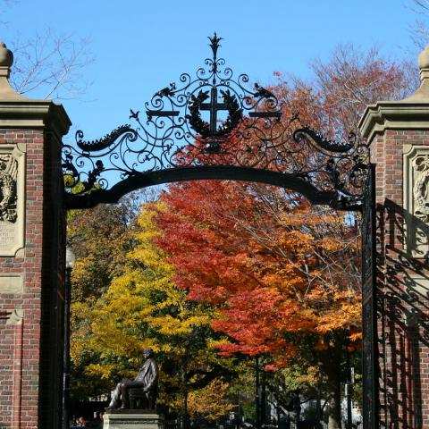 Harvard 