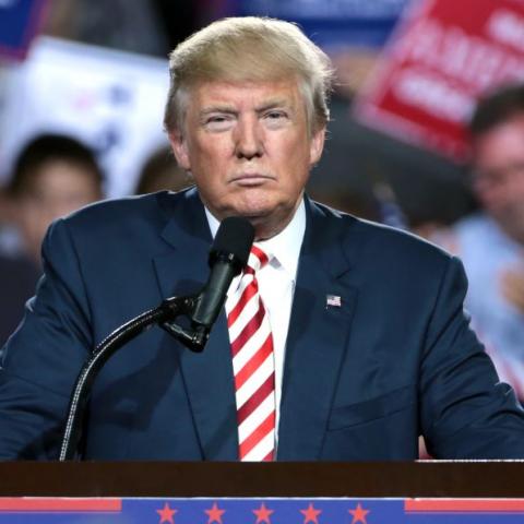 Donald Trump 