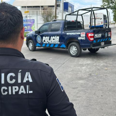 Área del atropello 