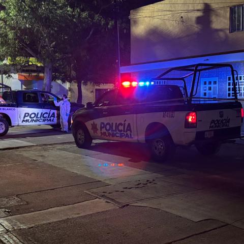 Violencia 