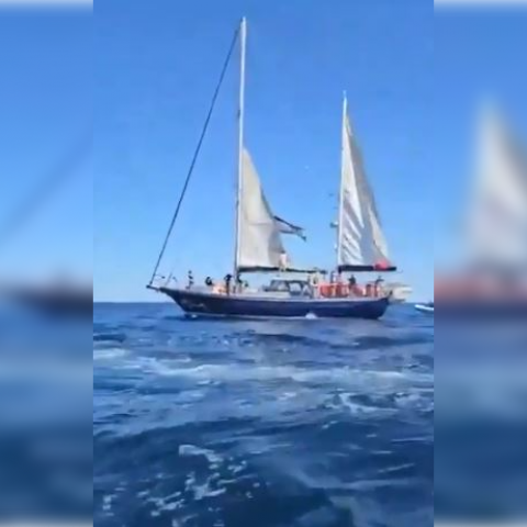 Barco 