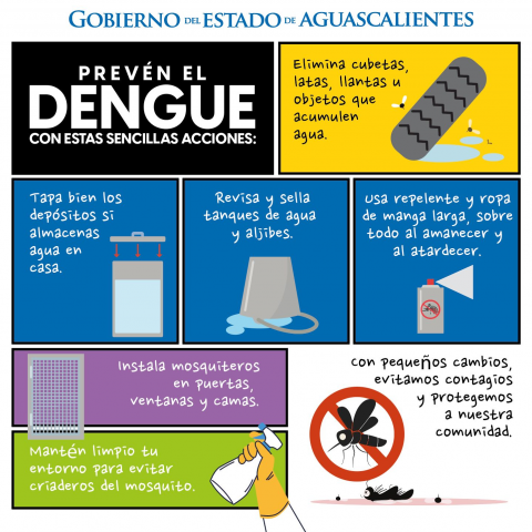 Dengue 