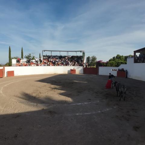 Cortijo San Rafael 
