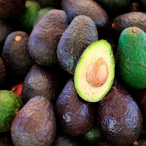 Precios del Aguacate 