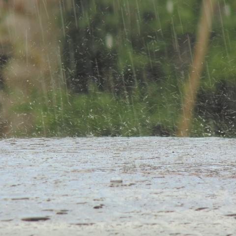 Presas de la entidad listas para captación de lluvias, garantizan autoridades