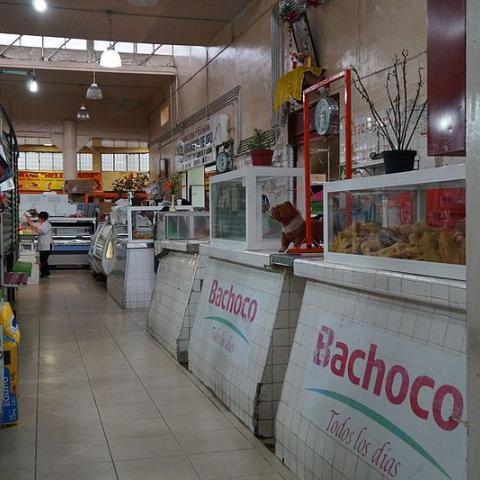 Bachoco 
