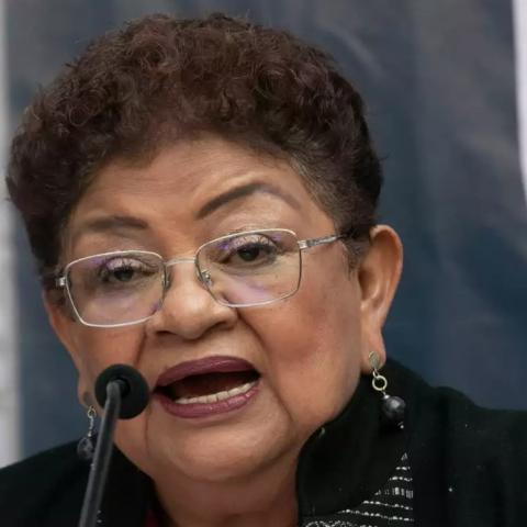 Anuncia Ernestina Godoy reforma aduanera durante plenaria de Morena en San Lázaro