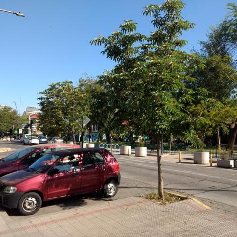 estacionamientos