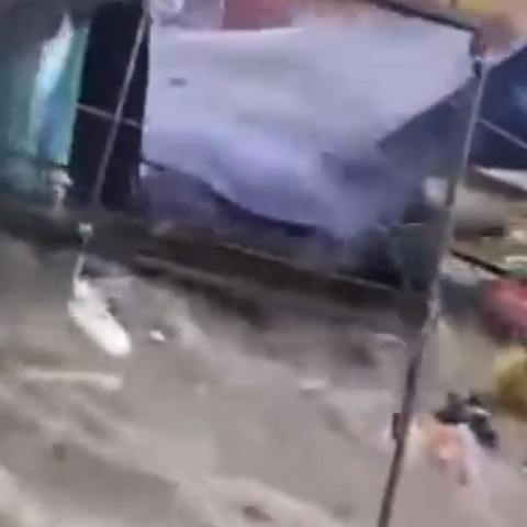Tianguis Solidaridad II 