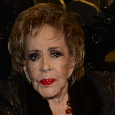 Se revela la distribución y a cuánto asciende la herencia de Silvia Pinal 