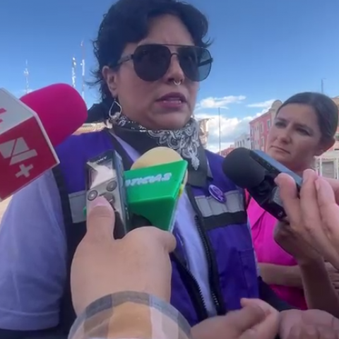 Mariana Ávila Montejano, Pdta. Observatorio de Violencia Social y de Género en Aguascalientes 