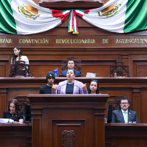 congreso