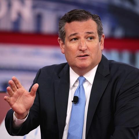 Ted Cruz 