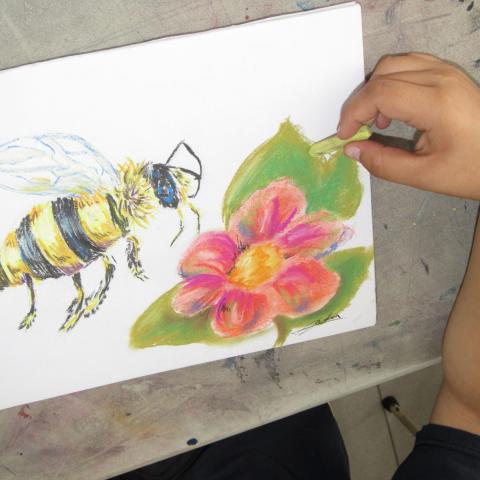 Dibujo
