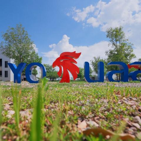 Yo UAA