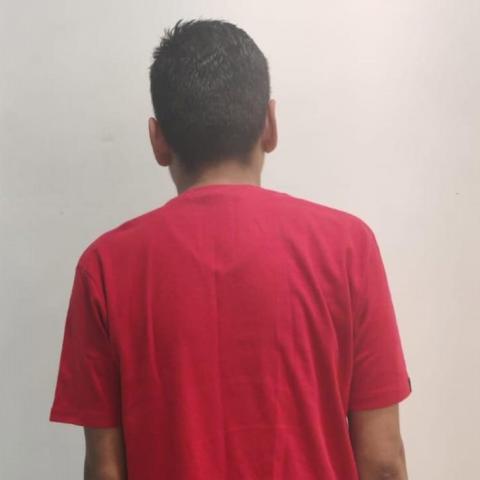 distribuidor 