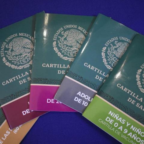 Cartilla de vacunación 