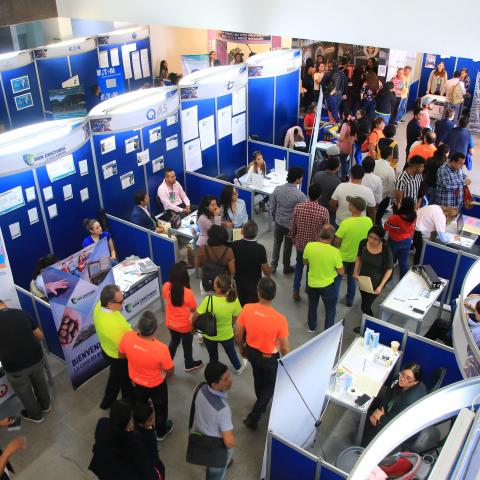 Feria Universitaria 