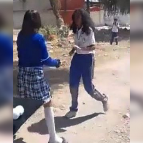 Pelea 