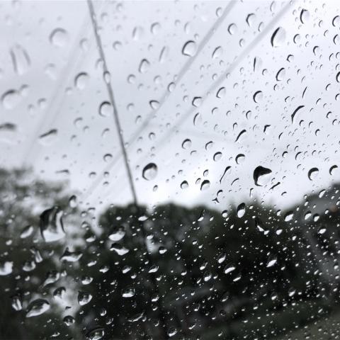 Entre baja concurrencia e inundaciones, lluvias han afectado ventas del centro hasta en 30% 