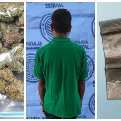 distribuidor 