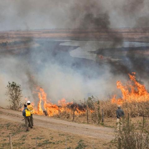 Incendios de pastizales 