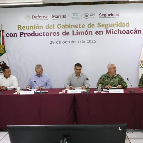 Omar García Harfuch en Michoacán 