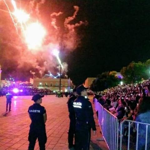 Seguridad pública