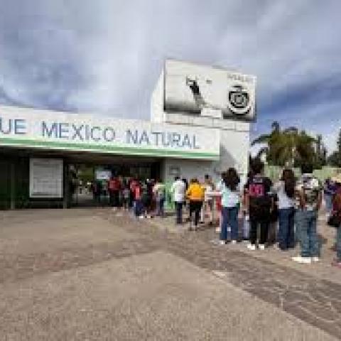 Parque México 
