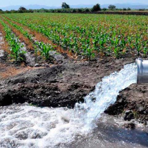 agua