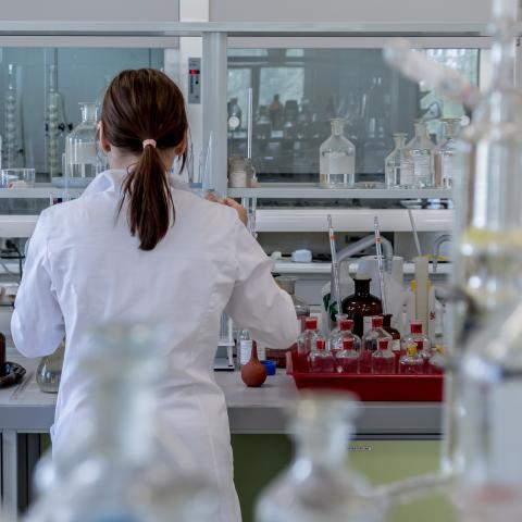 Laboratorio 