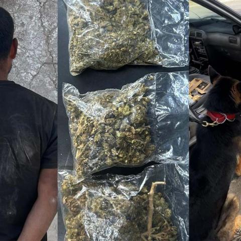Los policías lo detuvieron porque su auto tiene placas vencidas y se encontraron con la droga