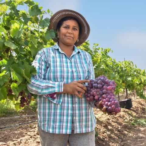 Mujer emprendedora