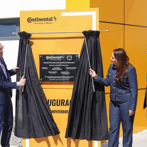 Tere Jiménez, Continental
