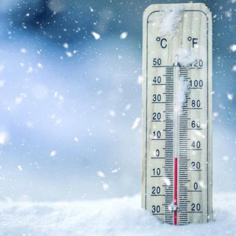 Baja temperatura