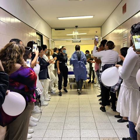 IMSS