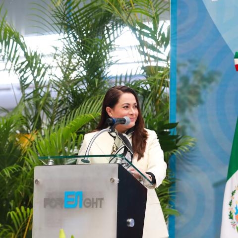 Inversión